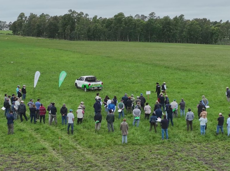 Evaluación de nabo forrajero cultivar GREENLAND